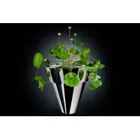 Zdjęcie Duża włoska donica do nowoczesnej aranżacji marki VG