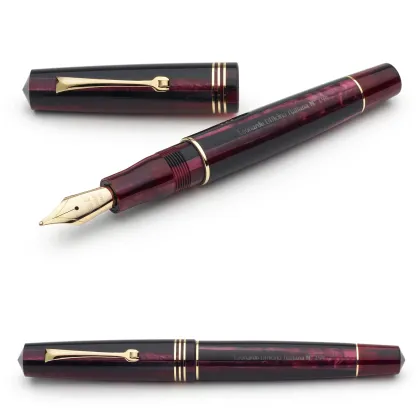 Picture Italian plum fountain pen Leonardo