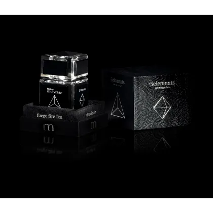 Picture 5 Elements 100 ml