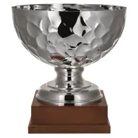 Picture A phenomenal cup for various sports tournaments