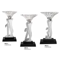 Picture A stylish sports award for the best participants