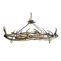 Picture Spectacular home lighting in the form of an antler chandelier