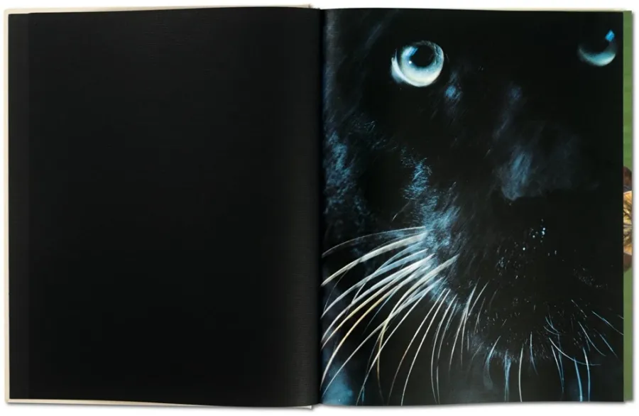 obrazek 3 Książka Frans Lanting. Eye to Eye - Taschen