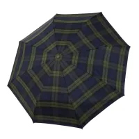 Picture Stable automatic pocket umbrella