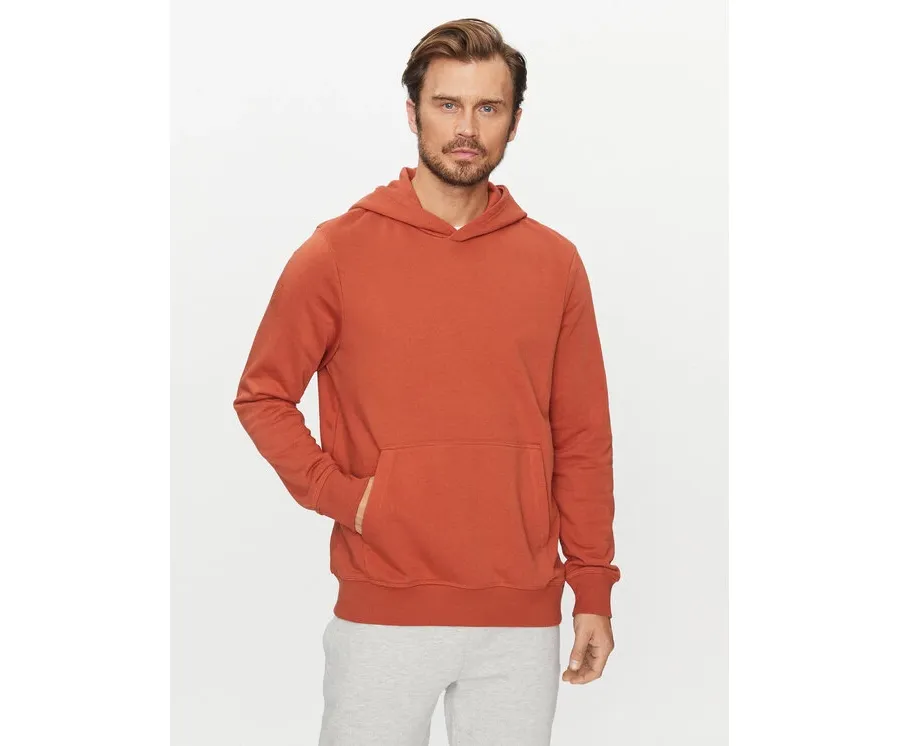 obrazek 1 4F Bluza 4FAW23TSWSM688 Brązowy Regular Fit