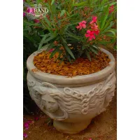 Picture Beautiful medium flower pot