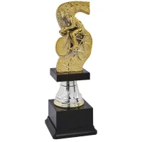 Picture A trophy for a cyclist