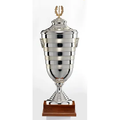 Zdjęcie Fantastyczne trofeum sportowe - srebrny puchar z Włoch