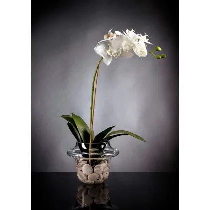 Picture Original vase with a white orchid for the table by VG