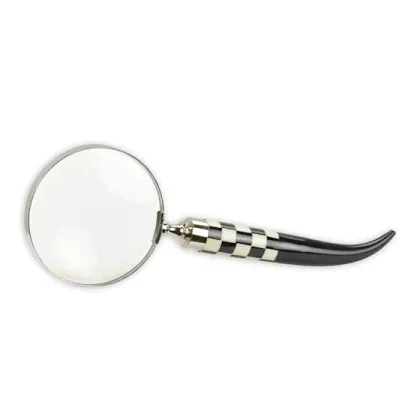 Picture Magnifying glass with original handle