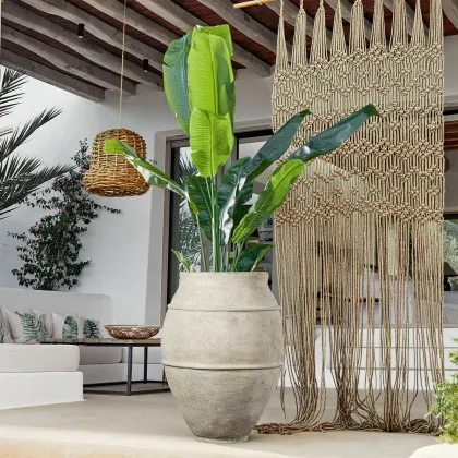 Zdjęcie Dekoracja roślinna Lennidas