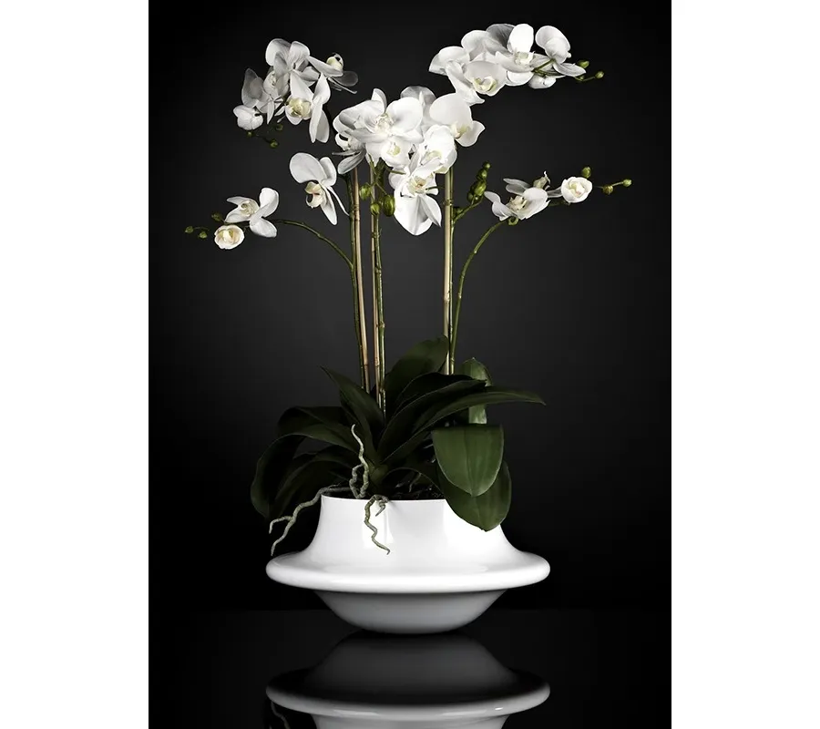 picture 1 Large glass pot with three flowers on the elegant tables