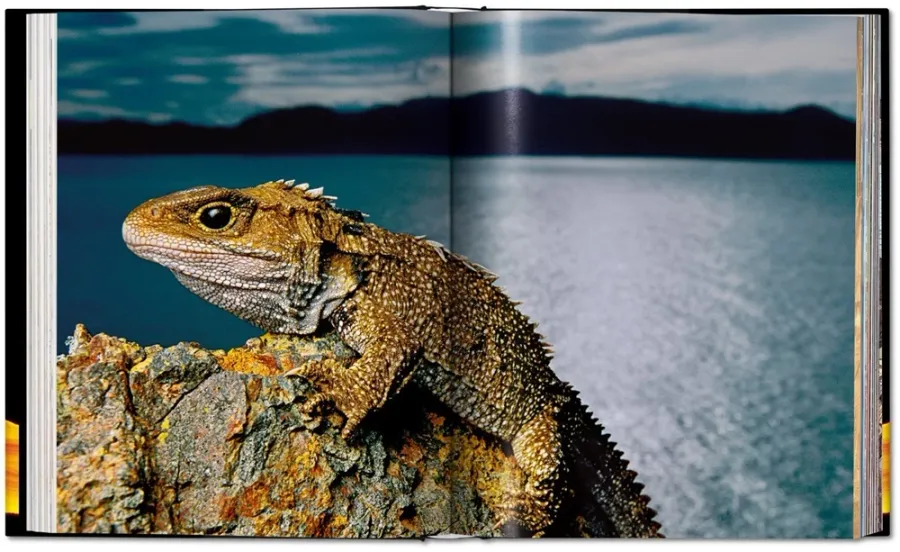 obrazek 5 Książka Frans Lanting. ŻYCIE - Taschen