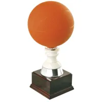 Picture Cup for basketball game