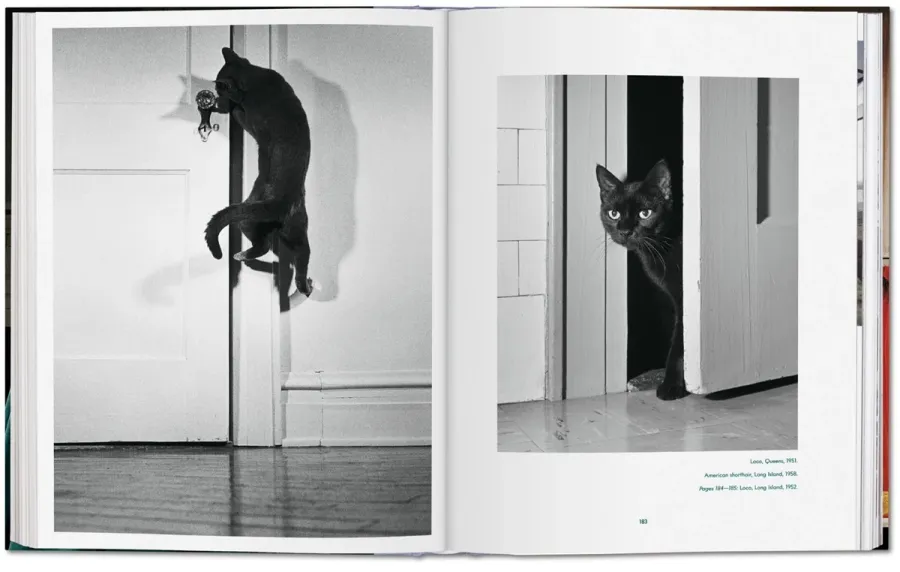 obrazek 11 Książka Walter Chandoha. Cats. Photographs 1942–2018 - Taschen