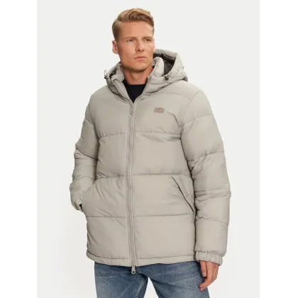 Zdjęcie Dickies Kurtka przejściowa Waldenburg Hooded DK0A4YEYD06 Szary Regular Fit