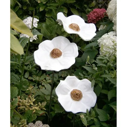 Zdjęcie Elegancki zestaw trzech białych maków - idealna ozdoba do ogrodu