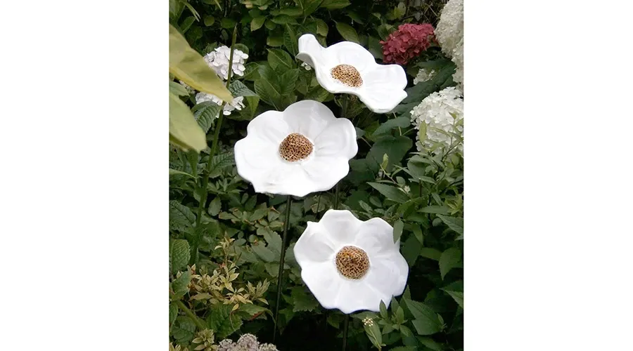 obrazek 1 Elegancki zestaw trzech białych maków - idealna ozdoba do ogrodu