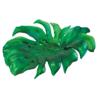 Picture A beautiful, stylish bowl in the shape of a monstera leaf by Emilio Robb