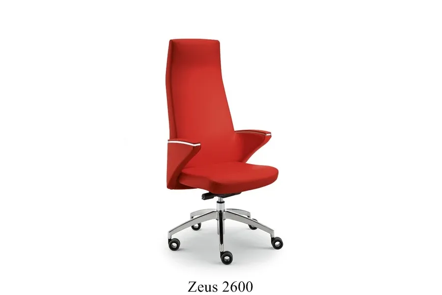 picture 7 Zeus armchair made of top quality leather