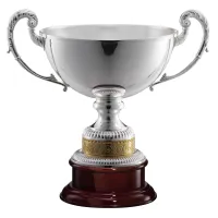 Picture Elegant sports souvenirs - silver cup with engraving option