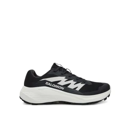 Zdjęcie Salomon Buty do biegania Alphaglide L47801500 Czarny