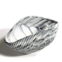 Picture An amazing shell-shaped bowl