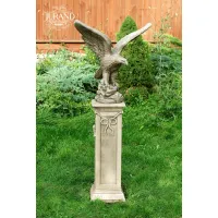 Picture Original figure of the Little Bald Eagle