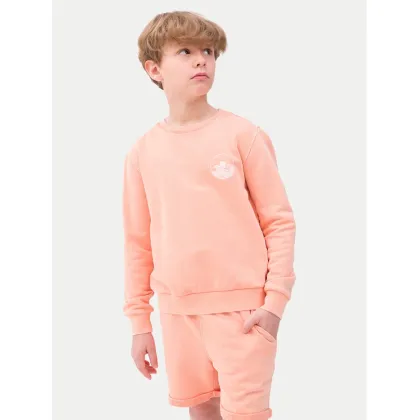 Zdjęcie 4F Bluza 4FJWSS24TSWSM0936 Pomarańczowy Regular Fit