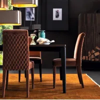 Picture Fantastic Zarafa chair made of solid beech
