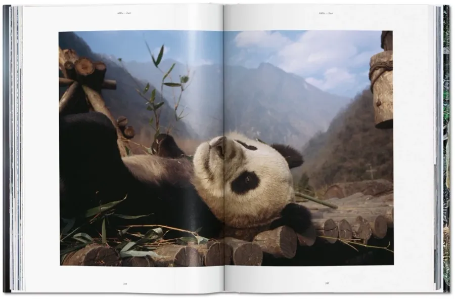 obrazek 7 Książka National Geographic. Around the World in 125 Years. Asia & Oceania - Taschen