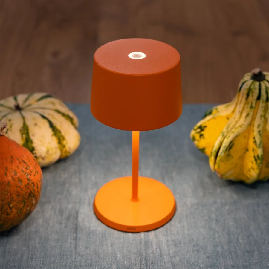 obrazek 6 Piękna lampa Olivia Mini na biurko