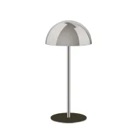 Picture Chrome-plated hat stand with dark olive base