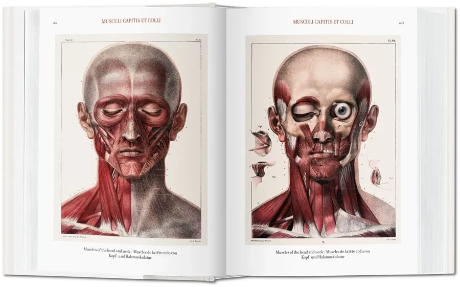 obrazek 2 Książka Jean Marc Bourgery. Atlas anatomii i chirurgii człowieka - Taschen