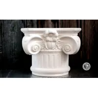 Picture Beautiful Ionic capital column