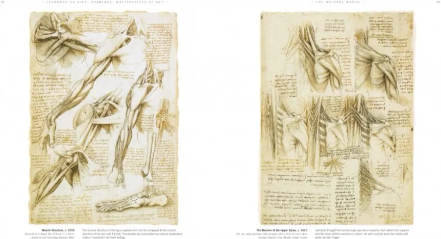 obrazek 4 Książka Rysunki Leonarda da Vinci - Arcydzieła sztuki - Flame Tree Publishing