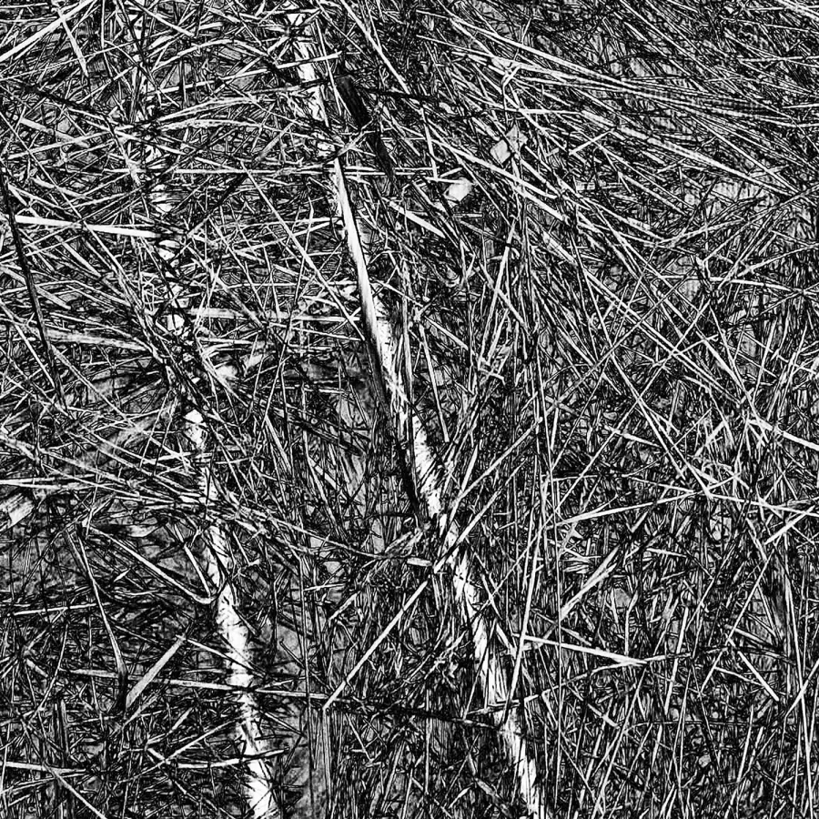 obrazek 2 Donikąd grafika 71,2 x 111,8 cm