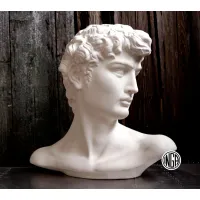 Zdjęcie Cudowne popiersie Dawida autorstwa Michała Anioła