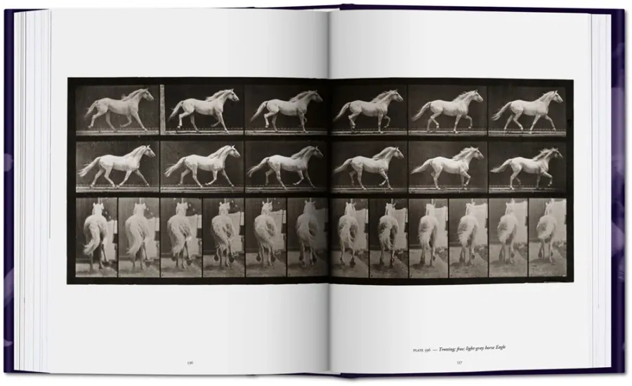 obrazek 5 Książka Muybridge. The Human and Animal Locomotion Photographs - Taschen