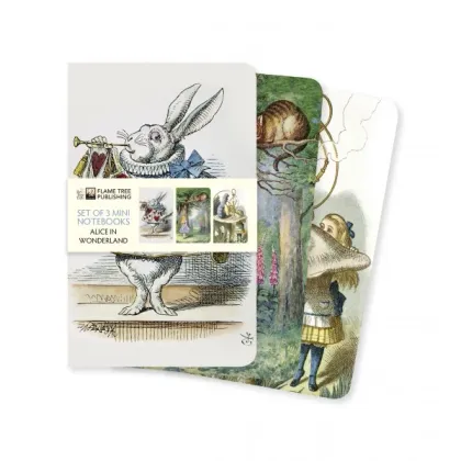 Zdjęcie Kolekcja mini notebooków (Alicja w Krainie Czarów) - Flame Tree Publishing