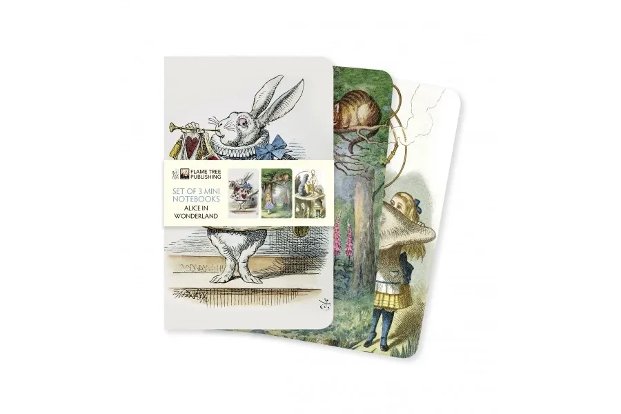obrazek 1 Kolekcja mini notebooków (Alicja w Krainie Czarów) - Flame Tree Publishing