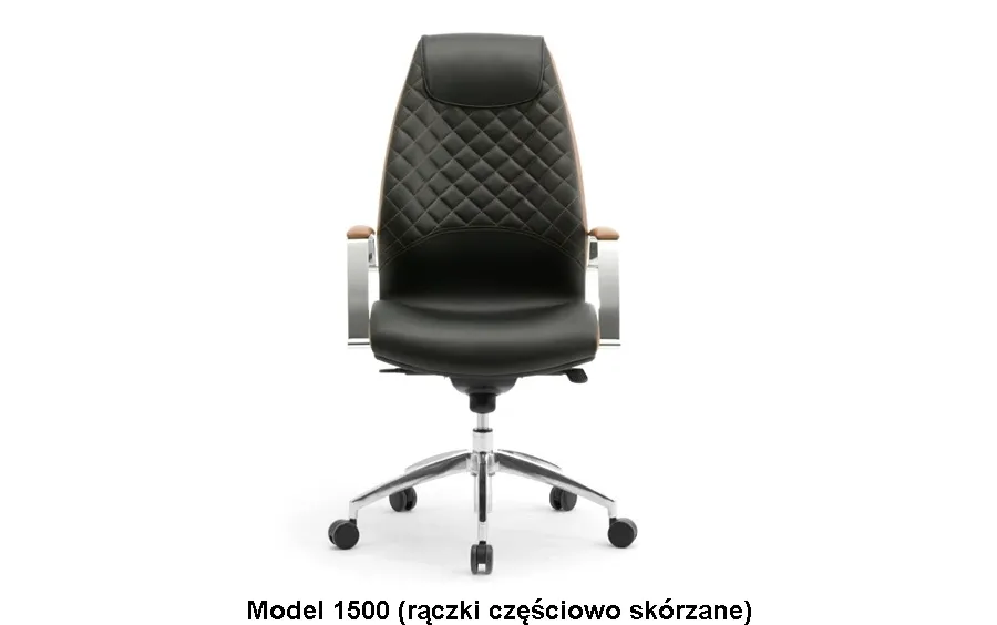 picture 18 Leather armchair prestigiously decorated with Wave leather