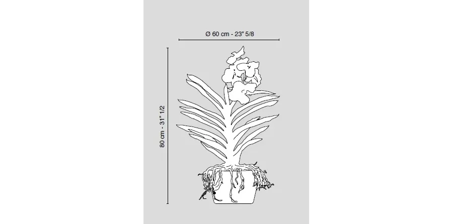 obrazek 4 Elitarny wazon ze szkła z białą orchideą na stół