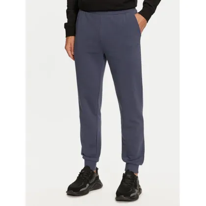 Zdjęcie 4F Spodnie dresowe 4FWMM00TTROM0942 Niebieski Regular Fit