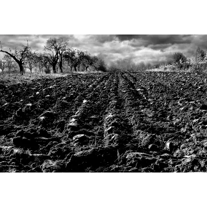 Zdjęcie Fotografia kolekcjonerska - Szczepan Kurzeja -