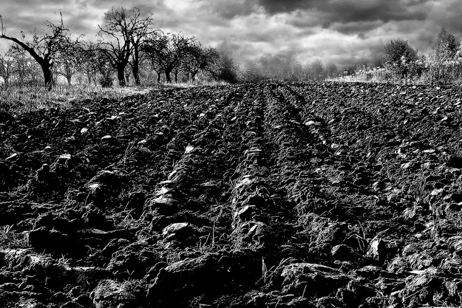 obrazek 1 Fotografia kolekcjonerska - Szczepan Kurzeja - 