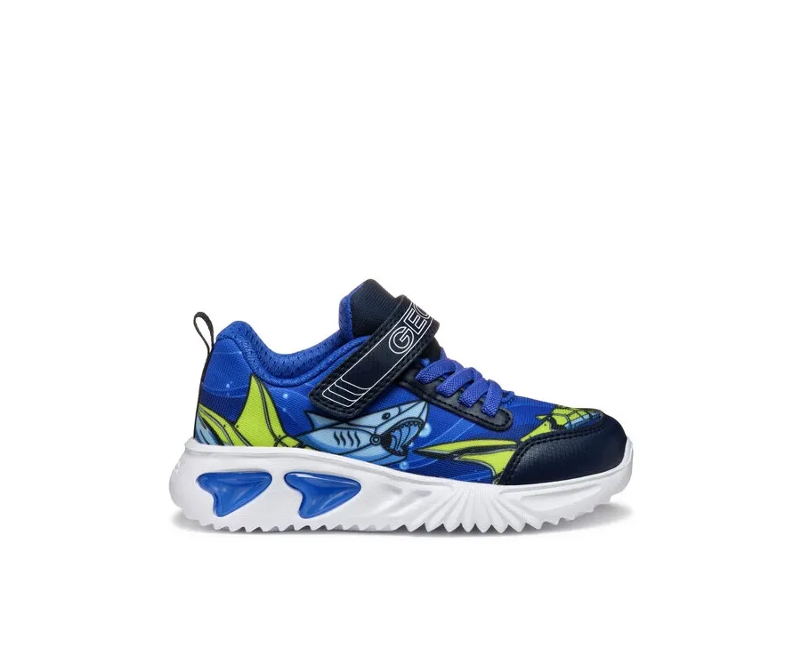 obrazek 1 Geox Sneakersy J Assister J45DZB 02ACE C4227 M Niebieski