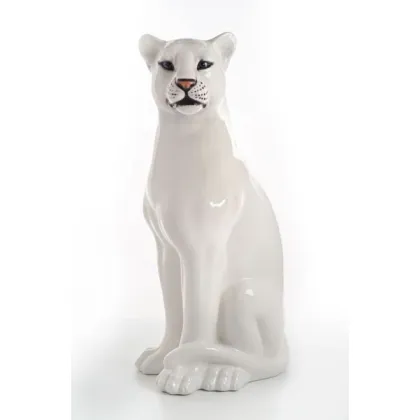 Picture A beautiful white panther