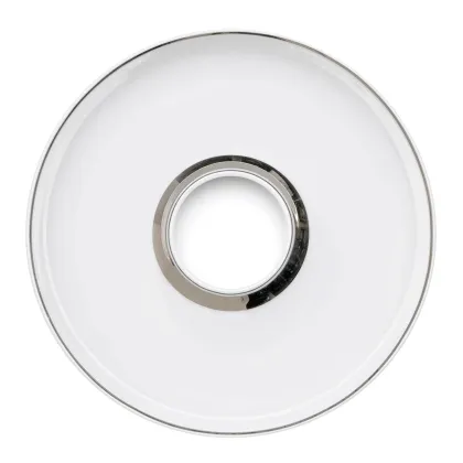 Zdjęcie Porcelanowy talerz na oliwki Domo Platinium z platynowym wykończeniem - Vista Alegre