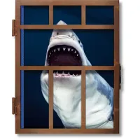 Zdjęcie Książka Michael Muller. Sharks - Taschen